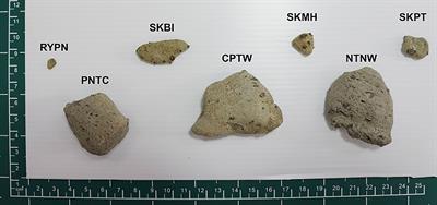 The first evidence of microplastic presence in pumice stone along the coast of Thailand: A preliminary study